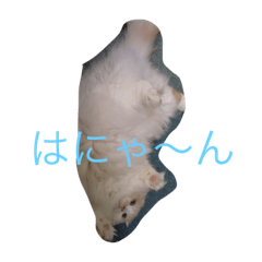 [LINEスタンプ] にゃんこっず
