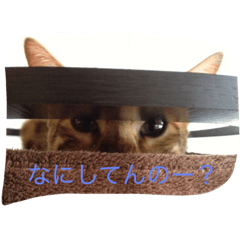 [LINEスタンプ] barong#3
