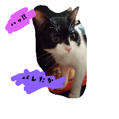 [LINEスタンプ] mariannu