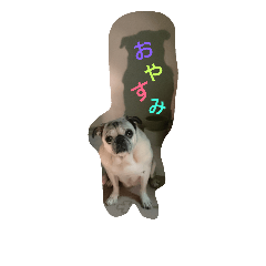 [LINEスタンプ] パグシアのきもち