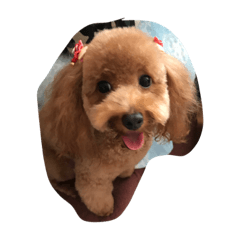 [LINEスタンプ] ぱーる