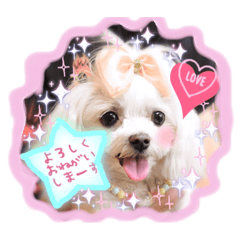 [LINEスタンプ] うちのプリンたん