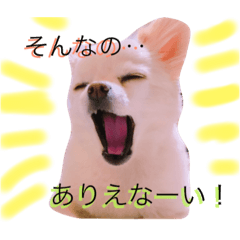[LINEスタンプ] のえるとふぅ