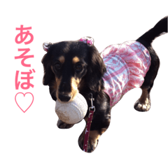 [LINEスタンプ] 毎日ももさん