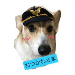 [LINEスタンプ] コーギーの仁君