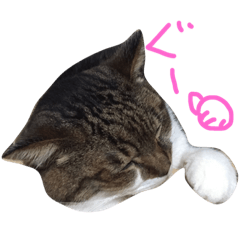 [LINEスタンプ] カワイイ♡るー