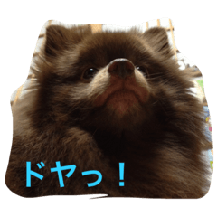[LINEスタンプ] ぷうやん