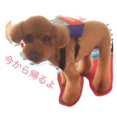 [LINEスタンプ] love mahalo 