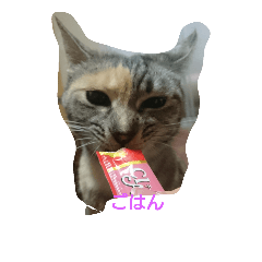 [LINEスタンプ] えのきさんの日常 