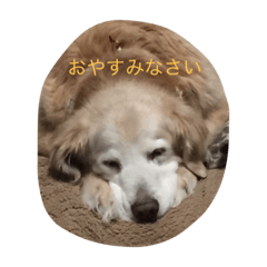 [LINEスタンプ] クリスとダイのまったり生活 