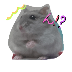 [LINEスタンプ] まんまる劇場♪