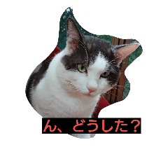 [LINEスタンプ] まったりチビ 