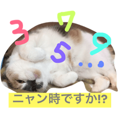 [LINEスタンプ] ごまニャン 