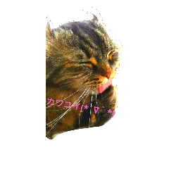[LINEスタンプ] ウルフTVハンターズ fetchpriority=high
