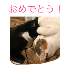[LINEスタンプ] rin10yukichi