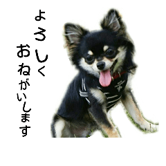 [LINEスタンプ] 日常使える言葉②