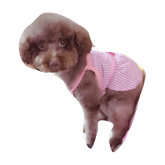 [LINEスタンプ] cubie
