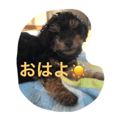 [LINEスタンプ] ポッキ〜くん