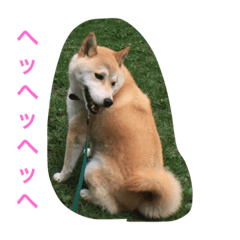 [LINEスタンプ] roku stamp