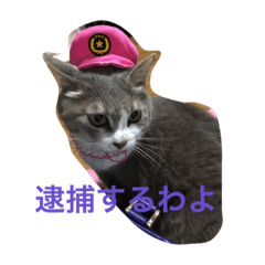 [LINEスタンプ] プティ