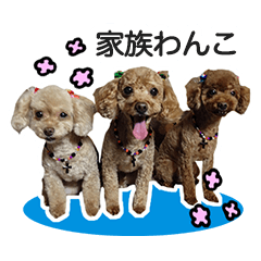 [LINEスタンプ] 家族わんこ01 ゆるいぬジロちゃんコラボ