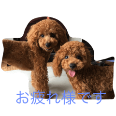 [LINEスタンプ] アネラ ミミ