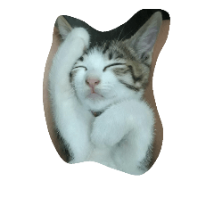 [LINEスタンプ] wenting