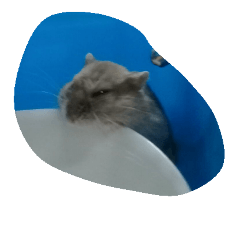 [LINEスタンプ] I want to sleep