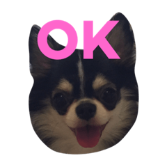 [LINEスタンプ] あんことこむさんとだいさん
