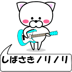 [LINEスタンプ] 動く！『しばさき』専用の名前スタンプ