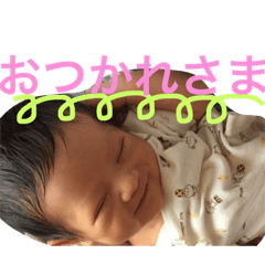 [LINEスタンプ] ここなっつスタンプ