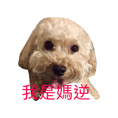 [LINEスタンプ] money baby 