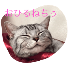 [LINEスタンプ] さくらの日々 