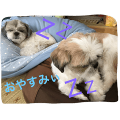 [LINEスタンプ] ぐうたら兄弟