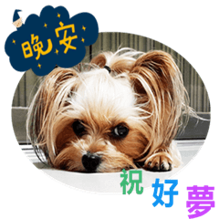 [LINEスタンプ] DU-DU