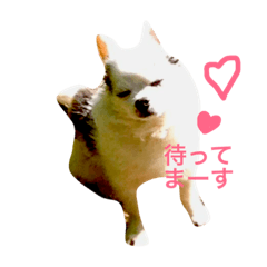 [LINEスタンプ] 世界で一番かわいい