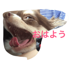 [LINEスタンプ] くららとさくら