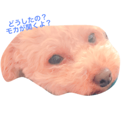[LINEスタンプ] 愛犬モカの気持ち