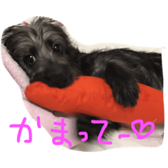 [LINEスタンプ] pino is friends 2