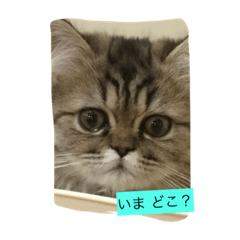 [LINEスタンプ] ivu life