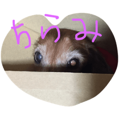 [LINEスタンプ] love wanco
