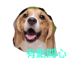 [LINEスタンプ] beagle nemeina ＆ blackmi 1