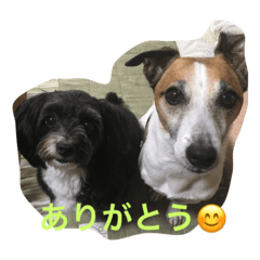 [LINEスタンプ] ジャック と モコ