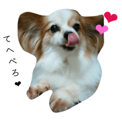 [LINEスタンプ] パピヨンのハッピー