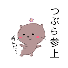 [LINEスタンプ] TSUBURA'S STUMP