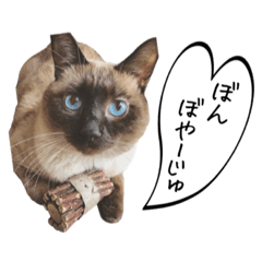 [LINEスタンプ] シャム猫系ケンの日常スタンプ4の画像（メイン）