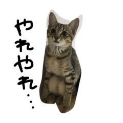 [LINEスタンプ] ルウ