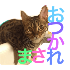 [LINEスタンプ] べるとすず