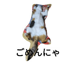[LINEスタンプ] 猫のミッケ