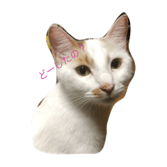 [LINEスタンプ] 伍呂(ごろ)くん